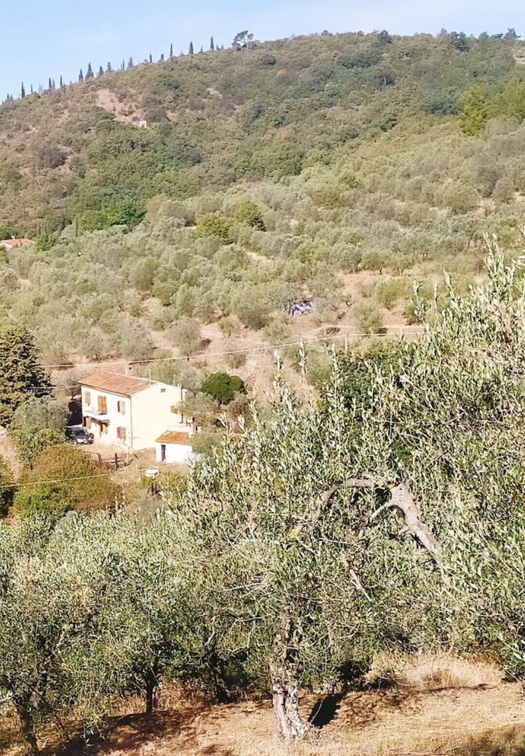 Un paysage rural avec un bâtiment blanc entouré d’oliviers, le tout sur fond de collines.