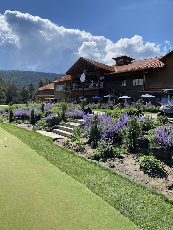 Property grounds - Cozy Mountain House convenient to all activities. (Angel Fire)