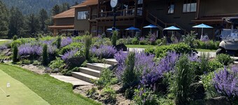 Cozy Mountain House convenient to all activities.