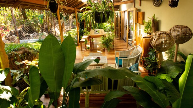 An indoor space with a wooden floor, a dining table, chairs, and various plants. - Villas Sampaguita (El Nido)