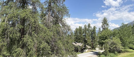 A wooden deck with a view of a forested area and a building in the background.