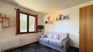 A room with a grey sofa, a television, a window with curtains, a shelf with decorative items, and a wooden door. - 12 LA Seille Studio 4 Personnes (LES ORRES 1650)