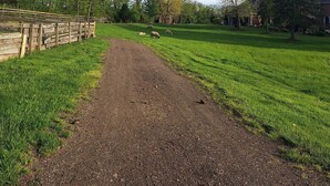 Un chemin de gravier traverse un champ herbeux, bordé d’une clôture en bois d’un côté et avec un bâtiment visible au loin.