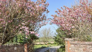 A rural pathway leading through a stone gate, surrounded by blooming trees and a clear sky.