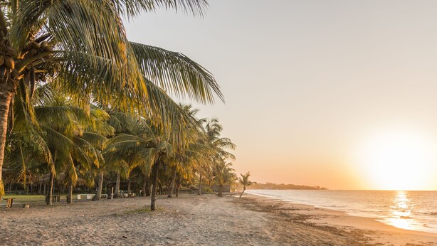 Una playa con palmeras y un atardecer.