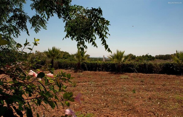 Apartment | 3 Schlafzimmer