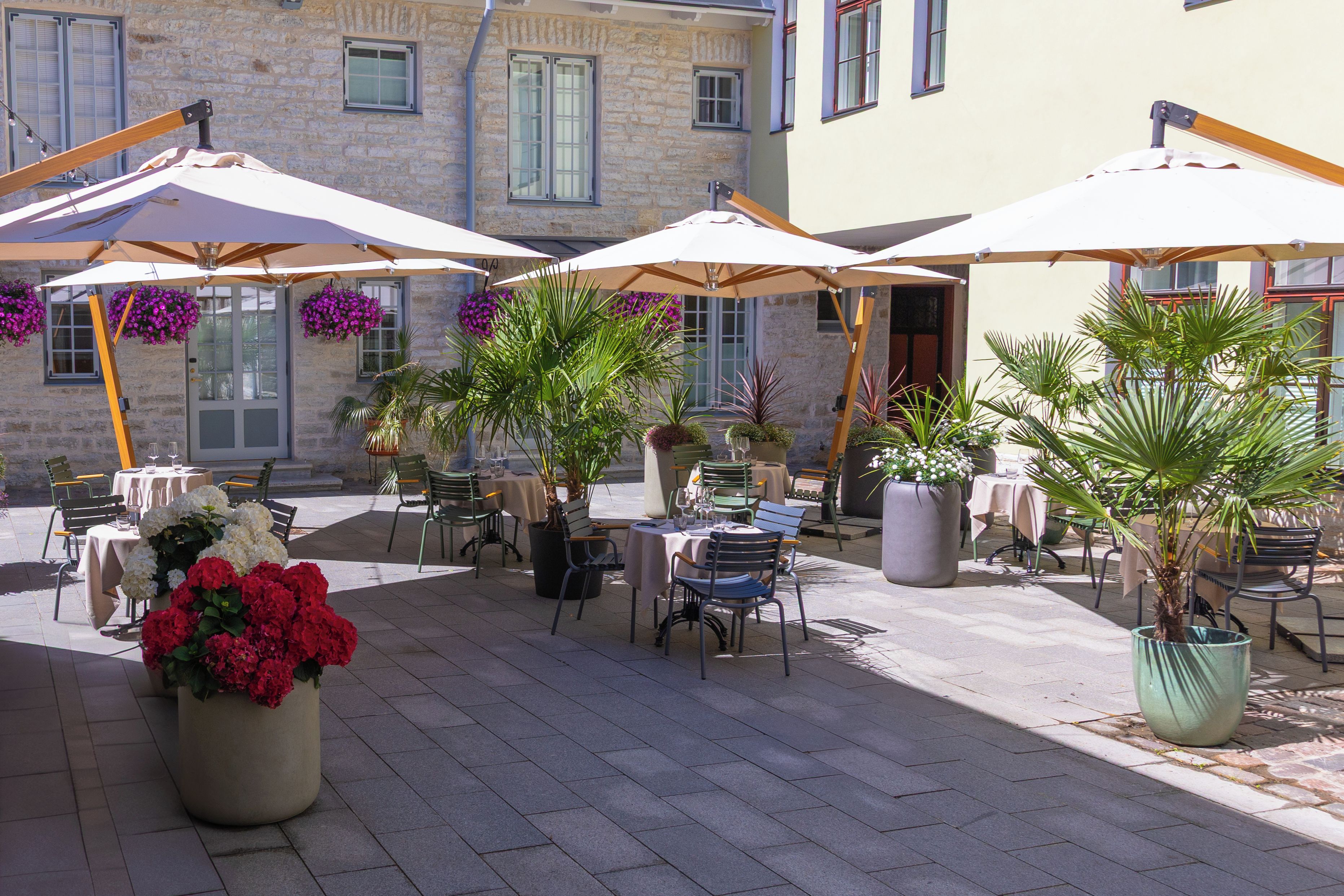 Un área de café al aire libre con mesas y sillas bajo sombrillas, rodeada de edificios de piedra y plantas en macetas.