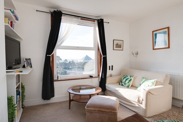 Smart TV, DVD player, books