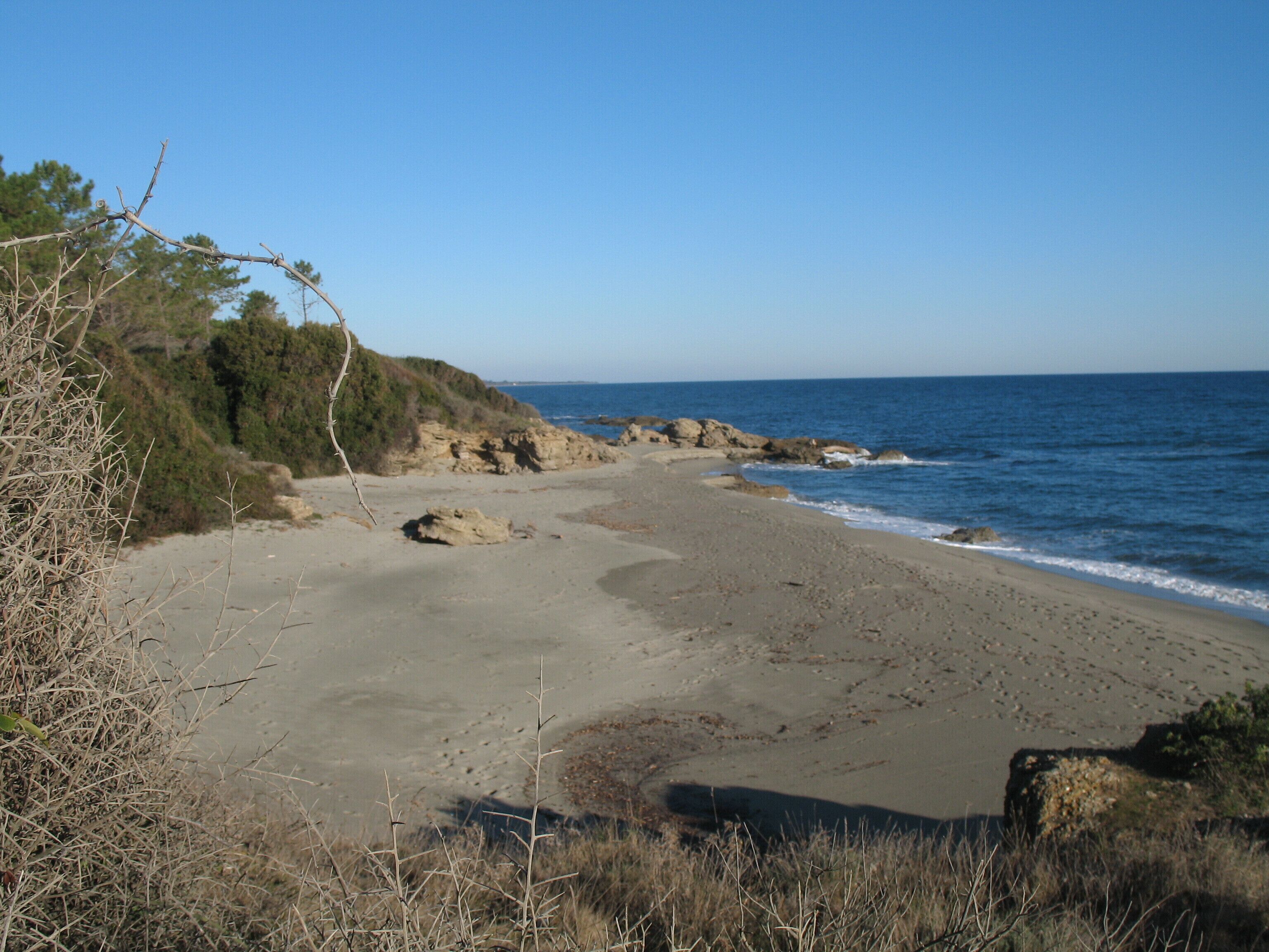 A beach with rocky outcrops and sparse vegetation.