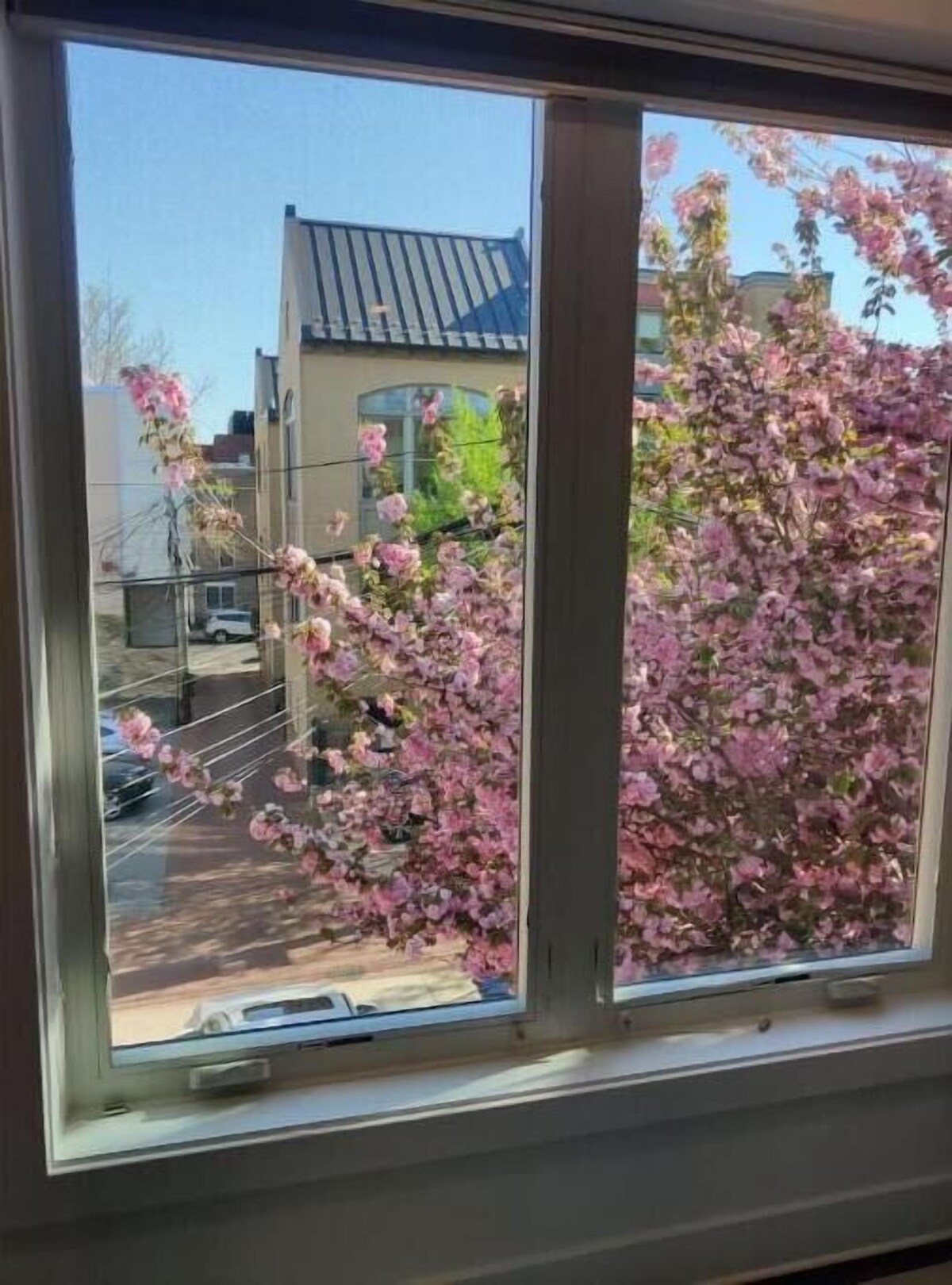 Värdens profilbild