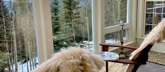 Evergreen Dream Home! HOT TUB /KING BEDS / PIANO/ AMAZING VIEWS/ 10 MIN TO SKI!!