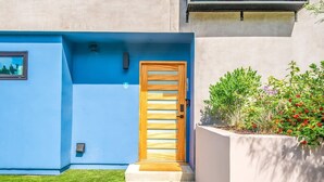 A modern house with a blue exterior, a wooden door, and a small garden with various plants and flowers.