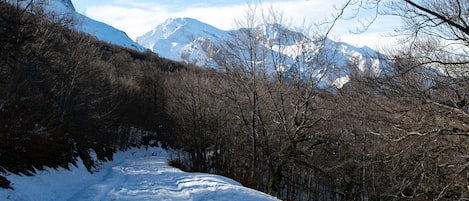 Un sendero cubierto de nieve con árboles desnudos y montañas al fondo.