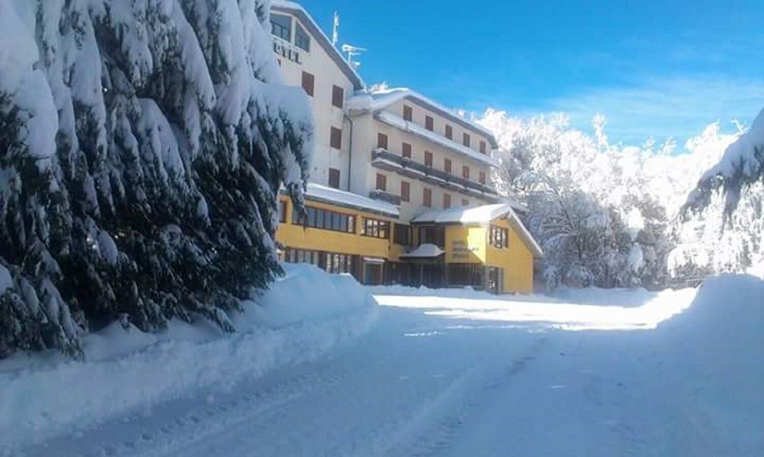 A snow-covered building with a yellow facade, surrounded by snow-laden trees and a clear sky.