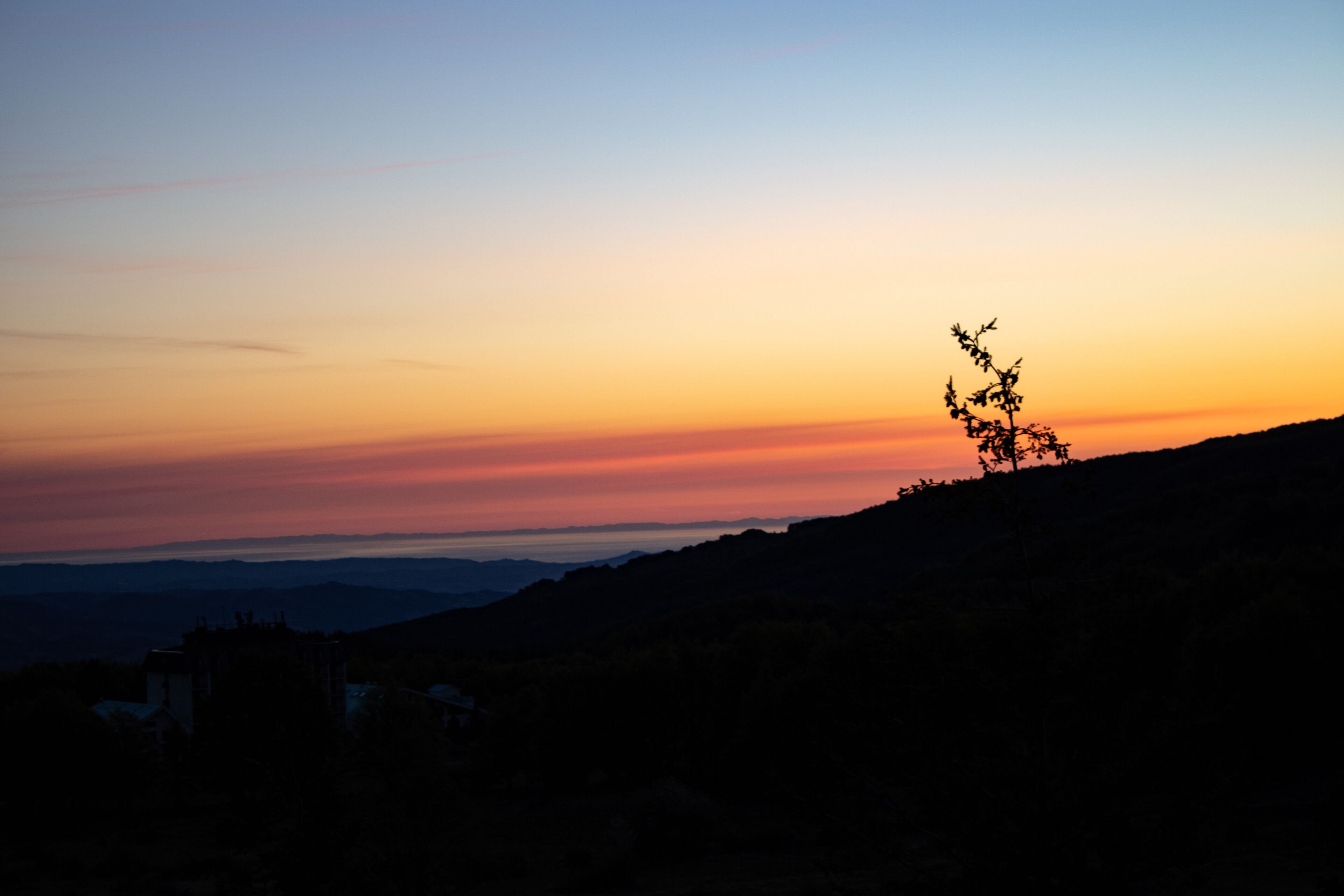 Silueta de un árbol contra un cielo al atardecer.