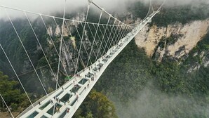 A suspension bridge with glass-bottomed walkways, surrounded by forested cliffs. - Zhangjiajie Wulingju Inn (Wulingyuan Scenic Area) (Zhangjiajie)