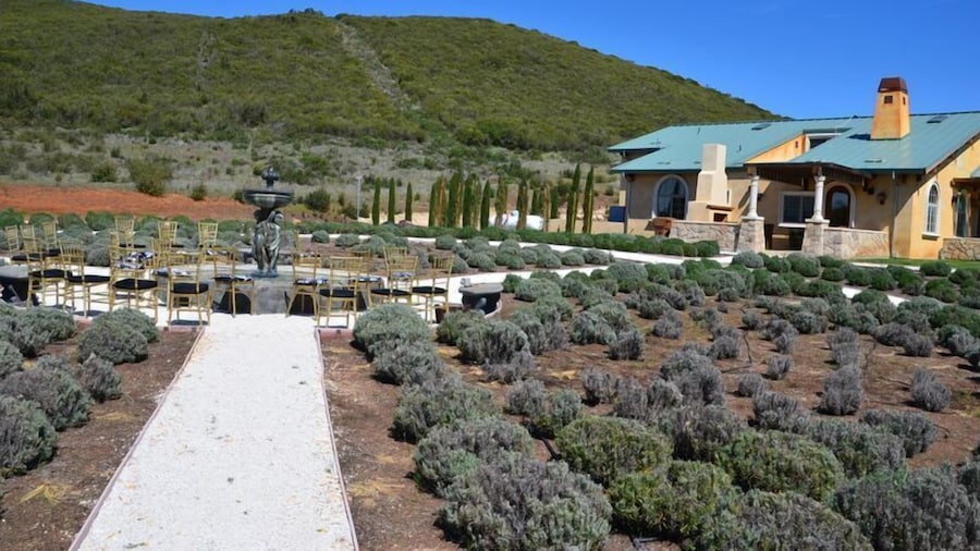 Thorn Hill Vineyard Villas