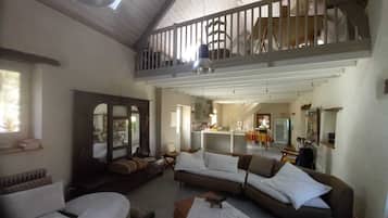 TV, fireplace, table tennis, books