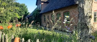 Vacation domicile Nordfriesland Pur