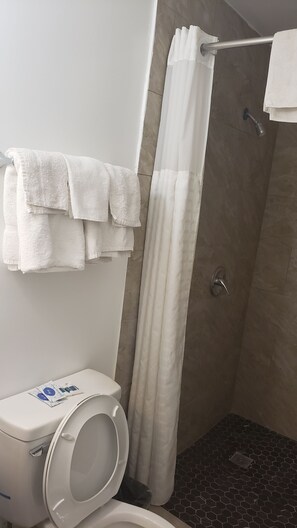 Serviettes fournies, savon, shampoing, papier toilette