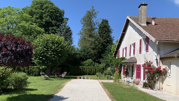 Une maison avec une allée en gravier, entourée de verdure et d’arbres.