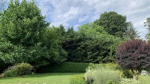 Un jardin luxuriant, avec différents arbres et arbustes, une pelouse verdoyante et un banc en métal blanc.