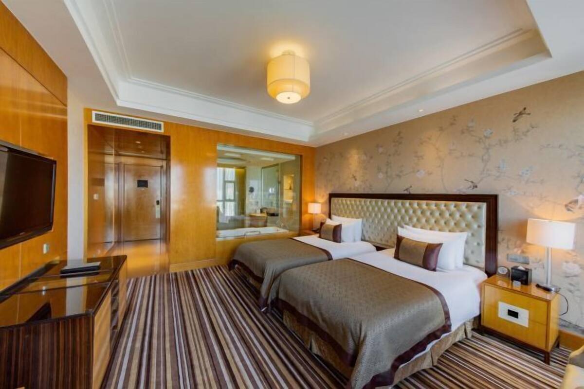 A hotel room with two beds, a television, a mirror, and a striped carpet.