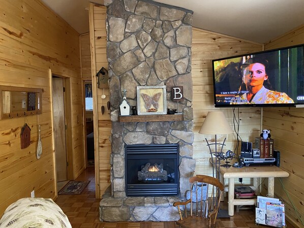 TV connectée, cheminée, livres