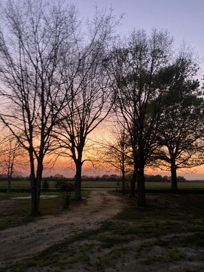 Miscellaneous - Fern’s Country Haven  (Atmore)