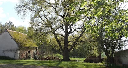 Country house