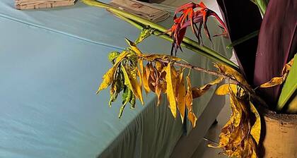 Las Rocas Village Ecohotel