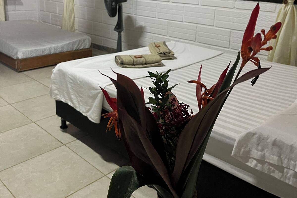 Ein Zimmer mit zwei Betten, einem Ventilator, einem Gemälde und einer Pflanze.