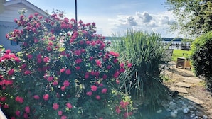 A garden with pink flowers, a pathway, and a view of a body of water.