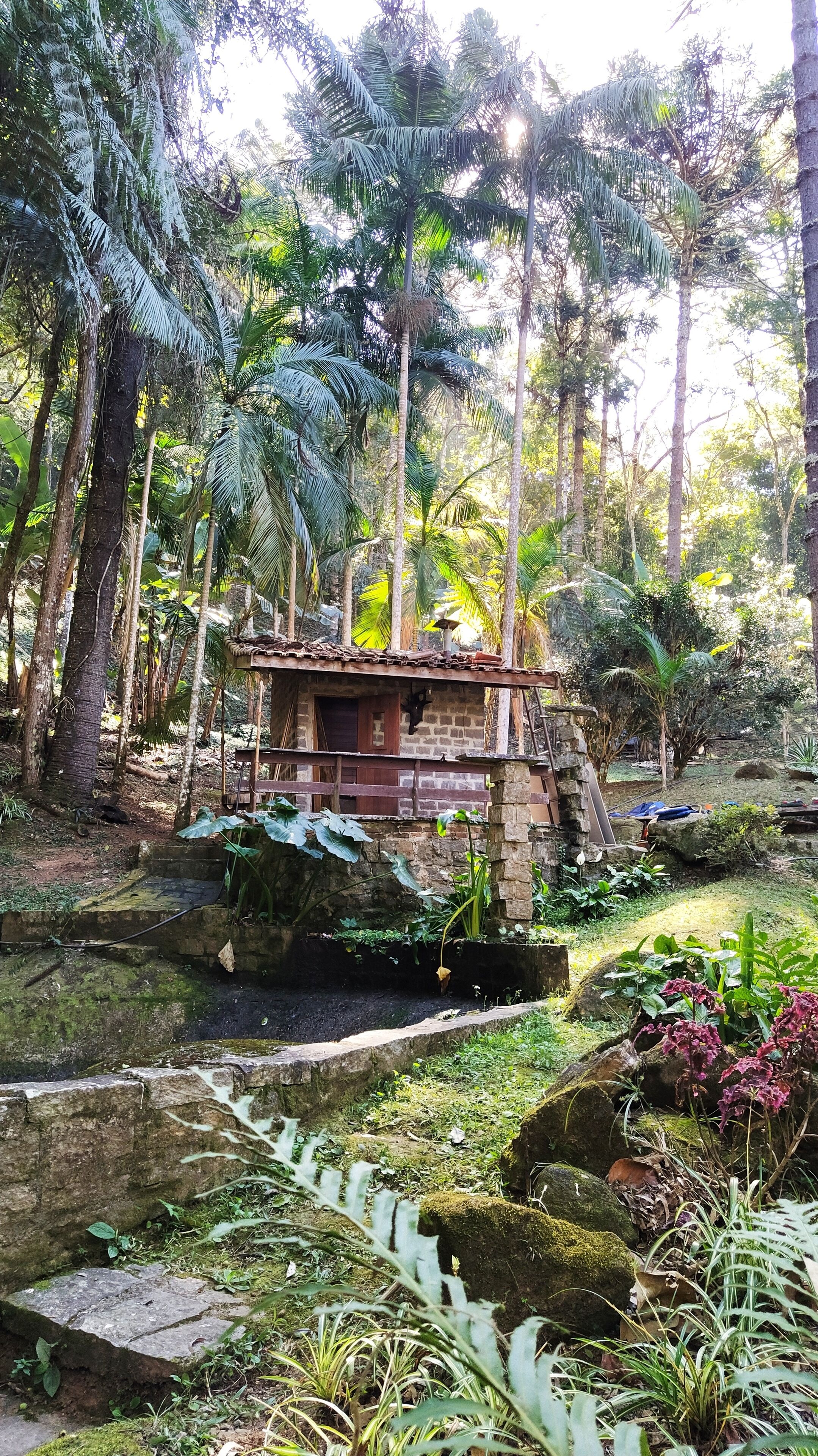 المنطقة المحيطة بالمنشأة