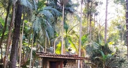 Mountain house with magnificent outdoor area and two wooden chalets