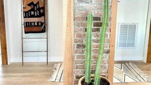 Een kamer met een bakstenen muur, een potplant en een ladder die tegen de muur staat.