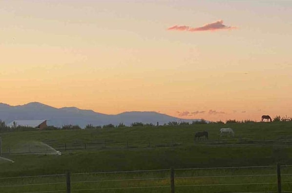 A rural landscape with a fence, a body of water, and mountains in the distance.