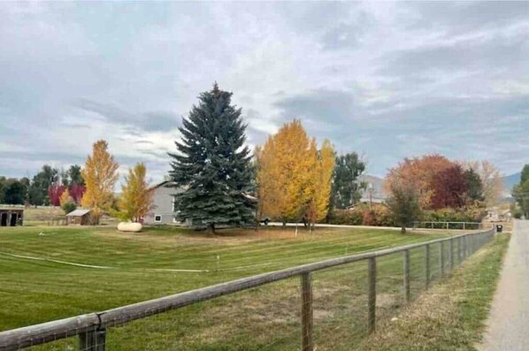 Property grounds