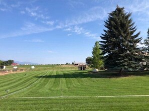 Property grounds - 4BR Ranch w/ Games + Deck + VIews | 4 Mi to Town (Ravalli County)
