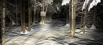 New, Stunning 3-bedroom, 5 acre home with AC & WIFI! Snowmobile & ATV trails