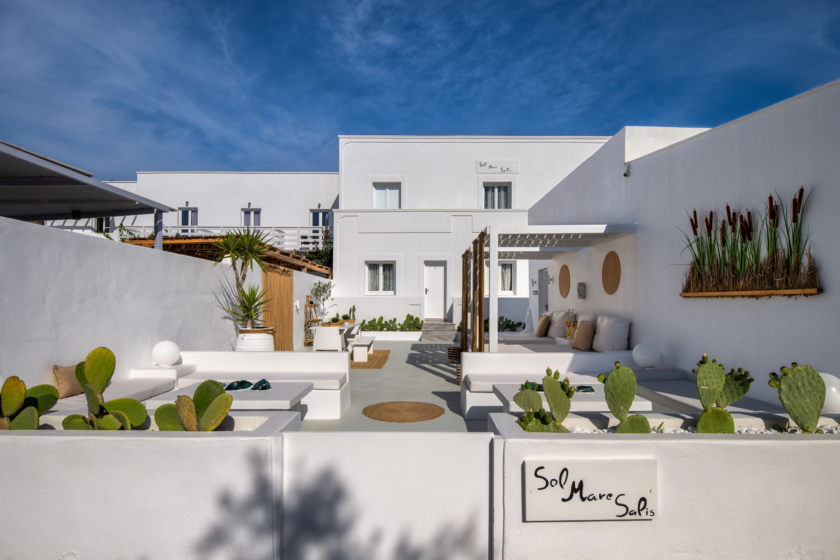 A modern white building with a courtyard featuring cactus plants and seating areas.