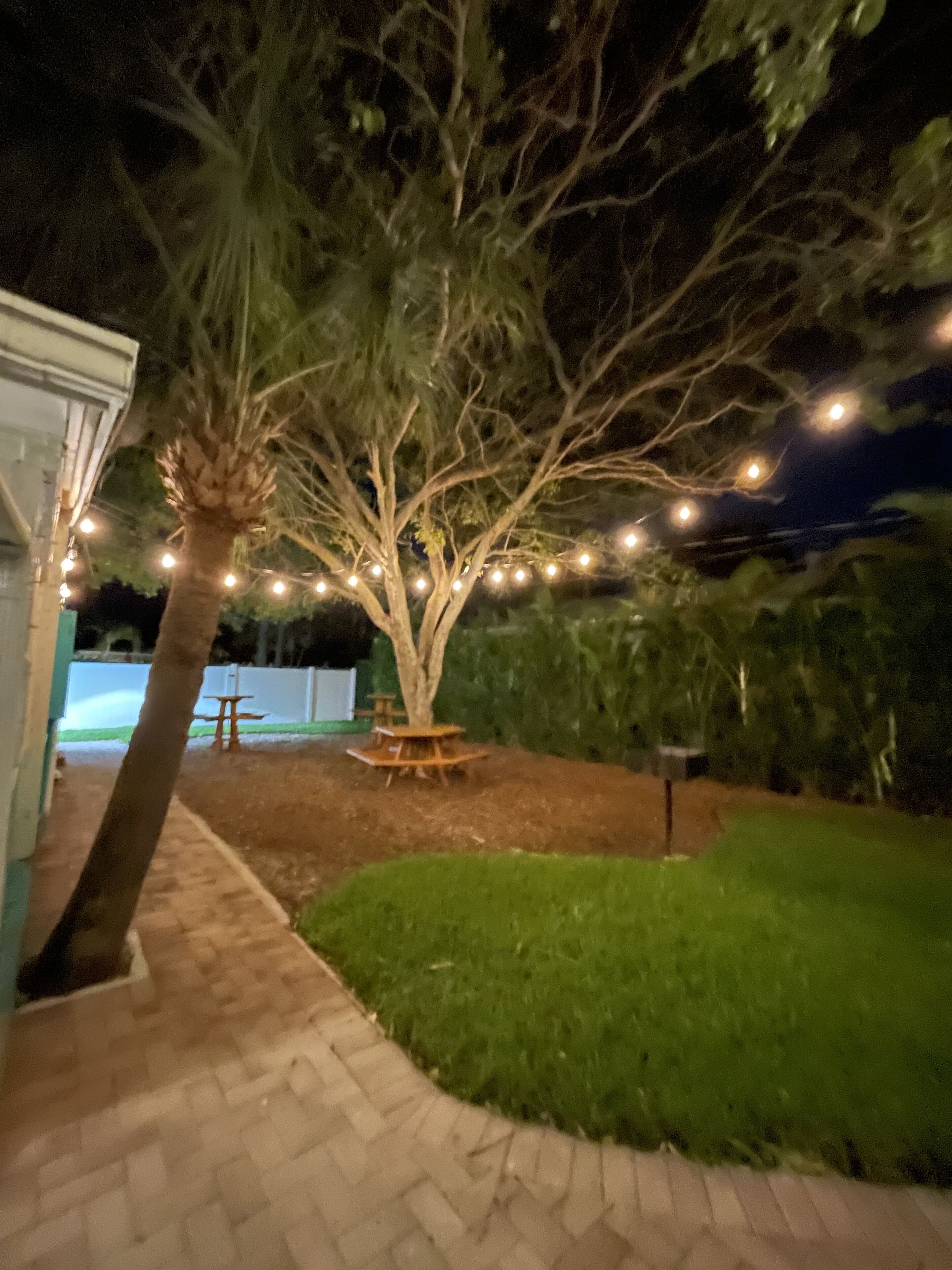 A tree with string lights, a paved walkway, and a grassy area.
