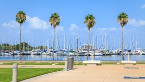 A marina with multiple sailboats docked, palm trees, and a clear blue sky.