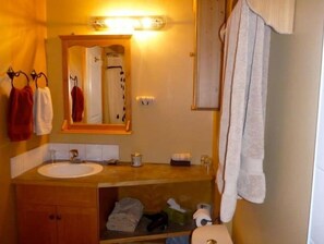 Combined shower/bathtub, hair dryer, towels, soap