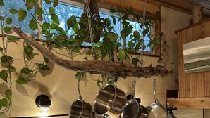 Een keuken met hangende pannen, een houten plafond en een raam met uitzicht op groen.