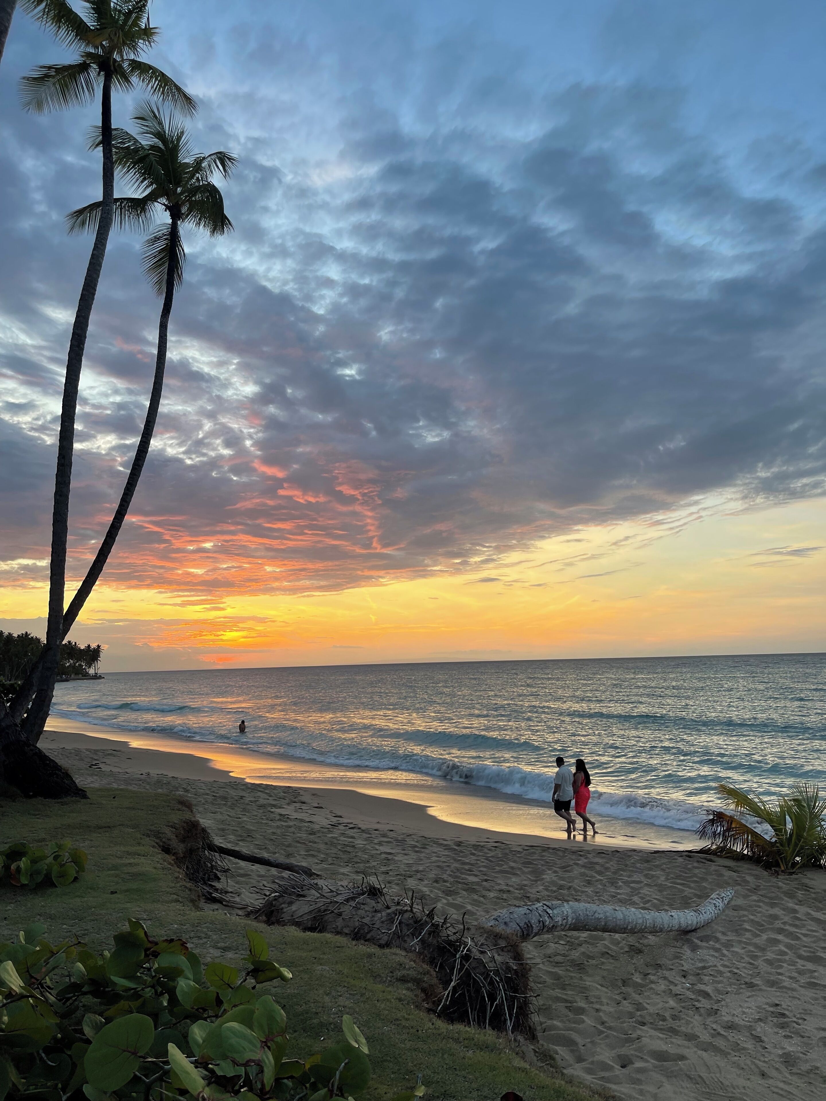A beach with palm trees and a sunset.