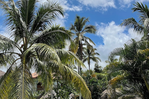 Villa (Mana 3) | Balcony view