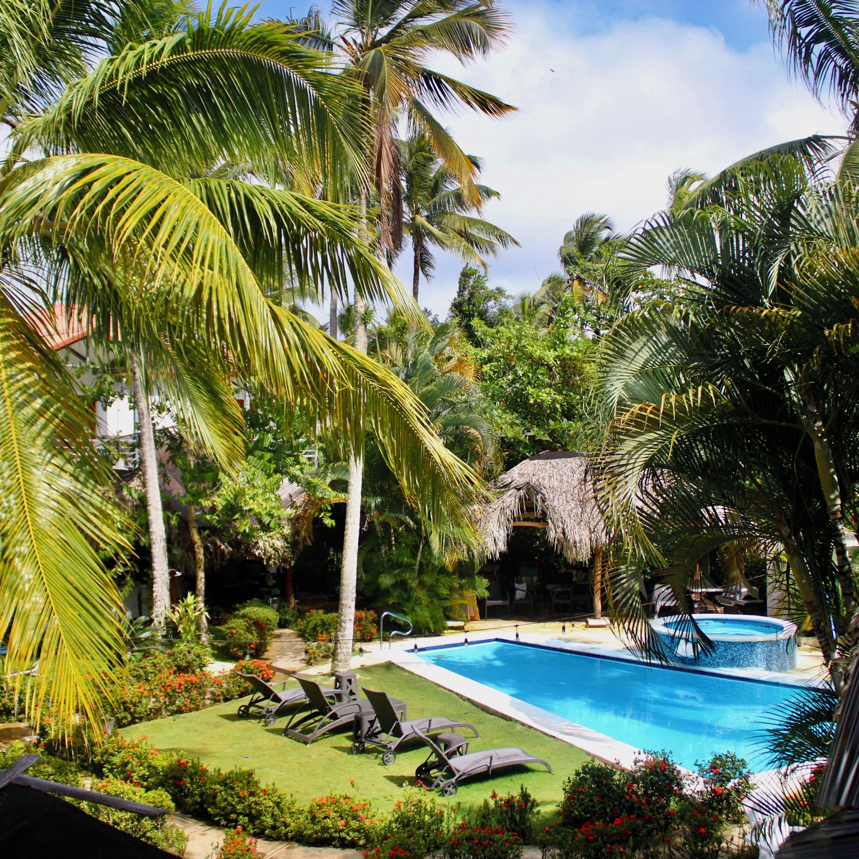 A pool area with lounge chairs and palm trees.