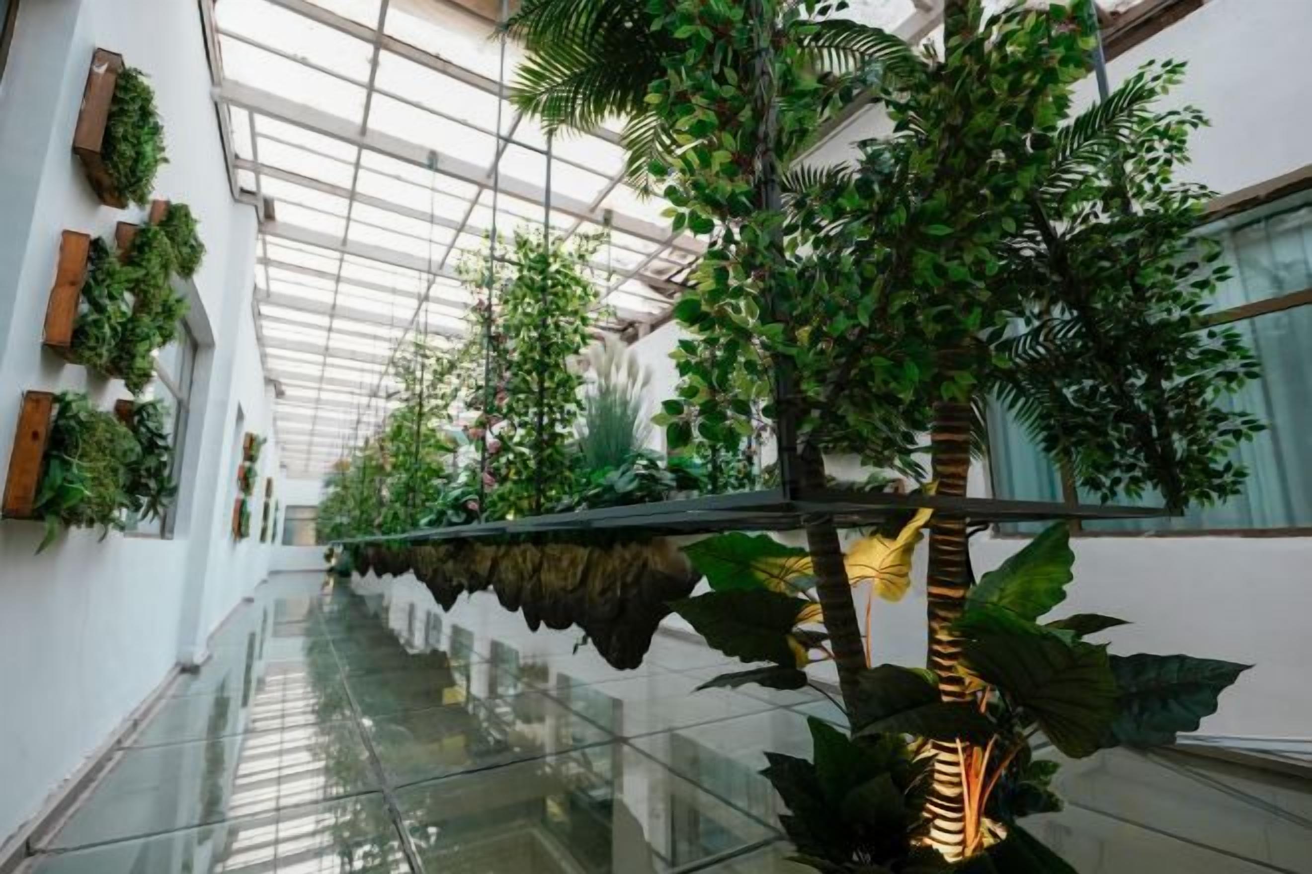 A corridor with glass flooring, green plants, and a reflective ceiling.