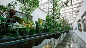 An indoor botanical garden with a glass walkway, plants, and a water feature.